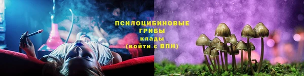 сатива Новодвинск